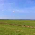 公寓 